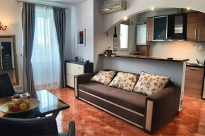 Cosy 1 bed flat Domenii, Herastrau, Elias, Veruvis